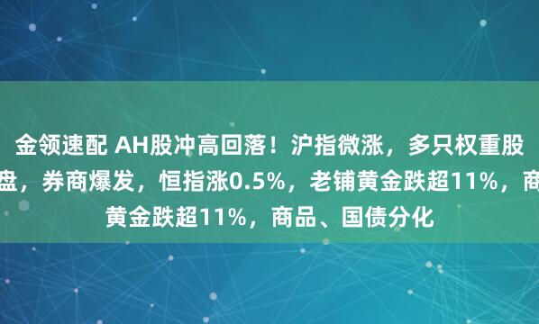 金領(lǐng)速配 AH股沖高回落！滬指微漲，多只權(quán)重股尾盤競價遭拋盤，券商爆發(fā)，恒指漲0.5%，老鋪黃金跌超11%，商品、國債分化